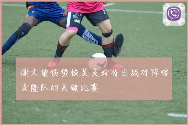 谢文能伤势恢复良好将出战对阵喀麦隆队的关键比赛
